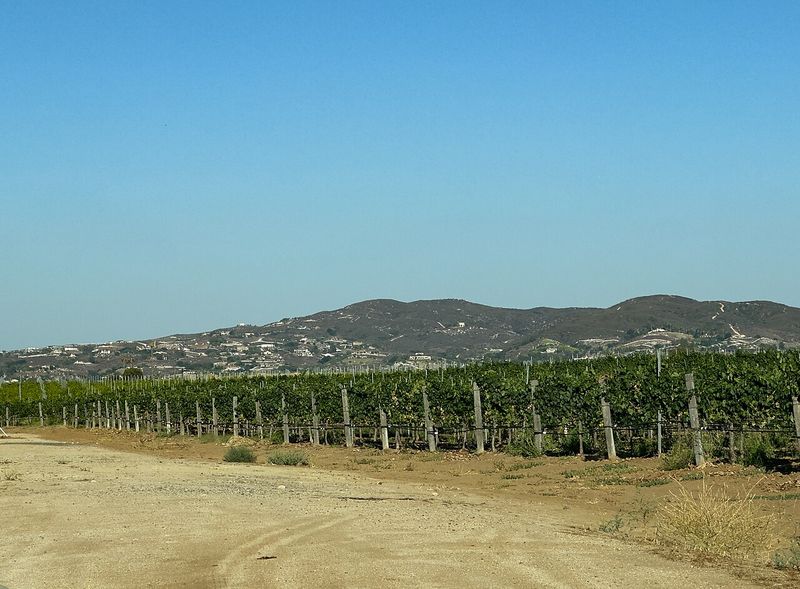 Oak Mountain seen from Temecula wine country